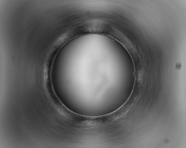 X0000102790733200808181259