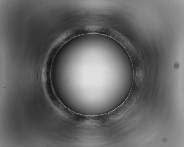 X0000102790734200808181259