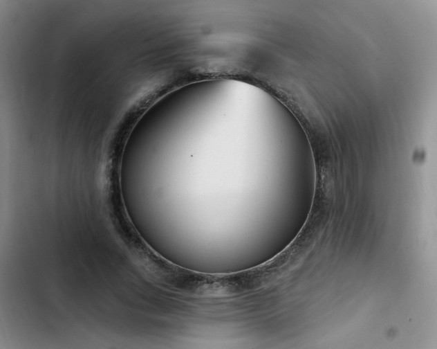 X0000102790735200808181259