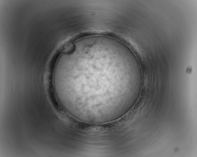 X0000102790736200808181259