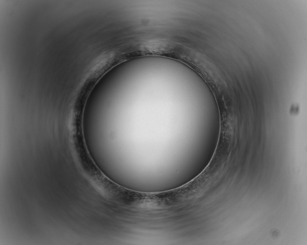 X0000102790738200808181259