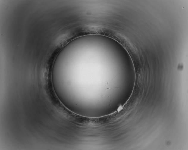 X0000102790739200808181259