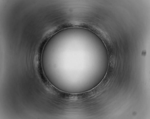 X0000102790740200808181259