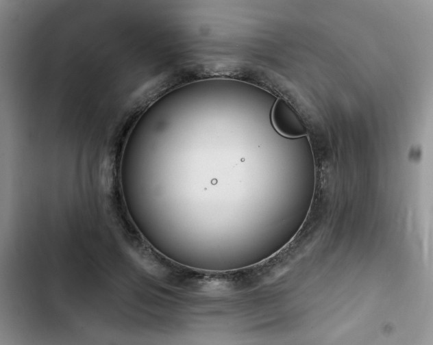 X0000102790741200808181259
