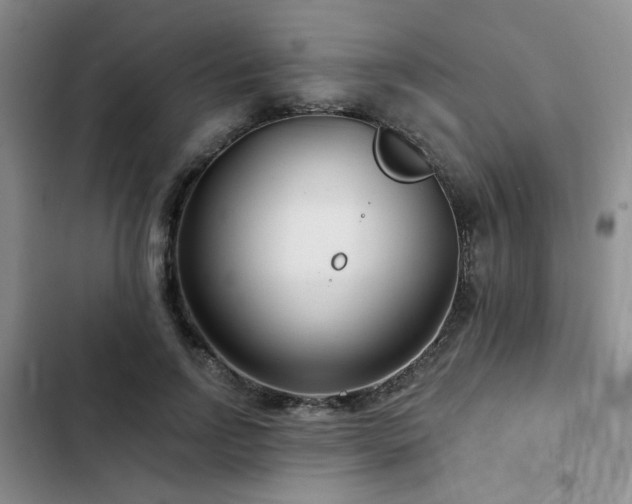 X0000102790742200808181259