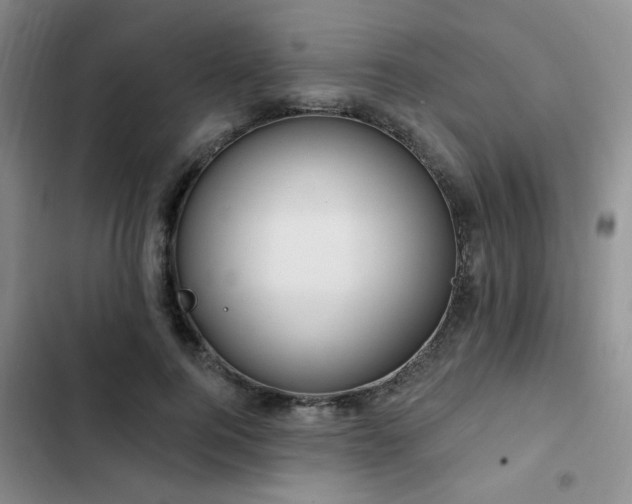X0000102790744200808181259