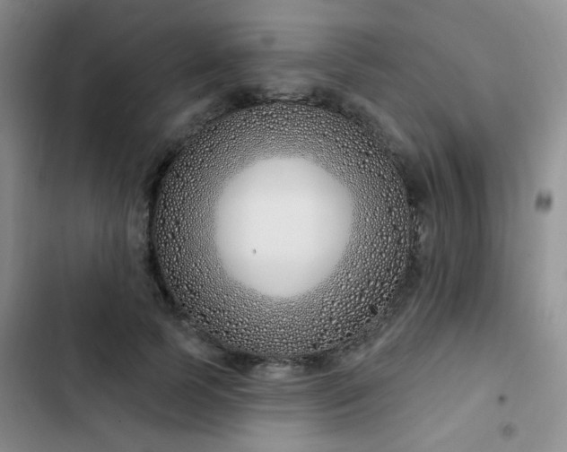 X0000102790745200808181259