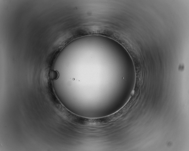 X0000102790746200808181259