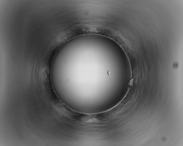 X0000102790747200808181259