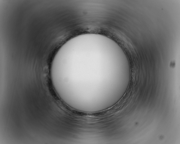 X0000102790748200808181259