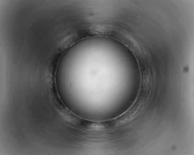 X0000102790749200808181259