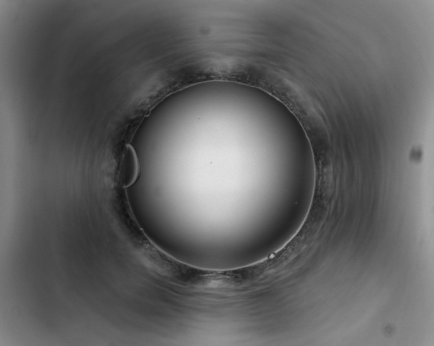 X0000102790750200808181259