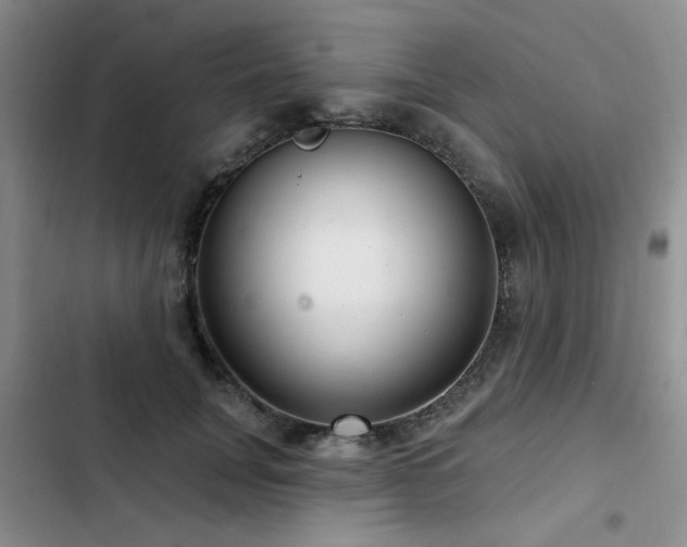 X0000102790751200808181259