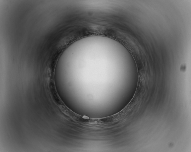 X0000102790752200808181259