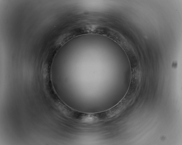 X0000102790754200808181259