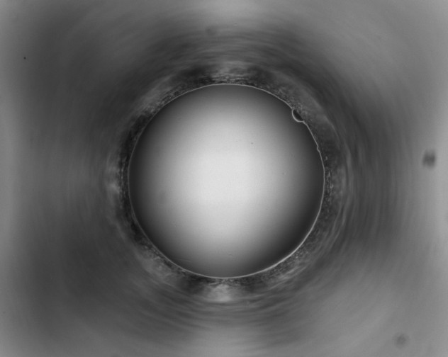 X0000102790755200808181259
