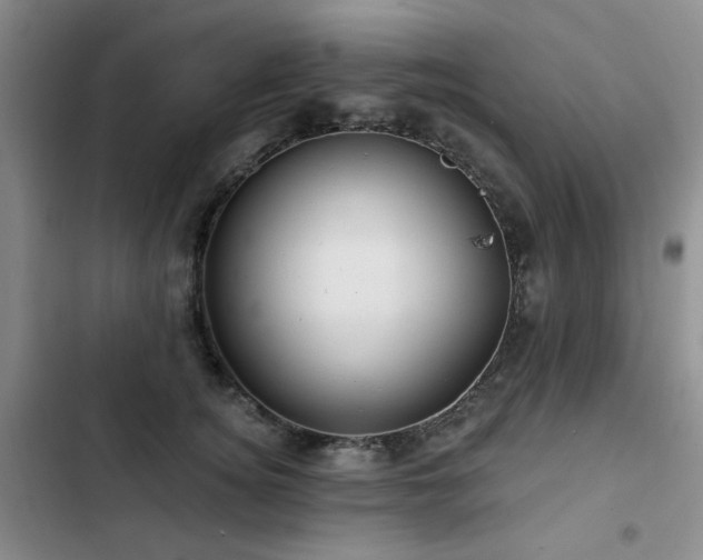 X0000102790756200808181259
