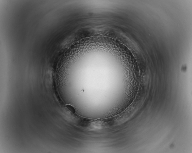 X0000102790757200808181259