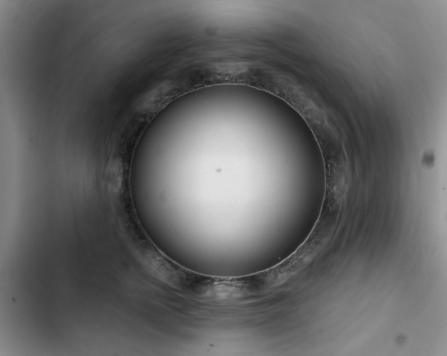 X0000102790758200808181259