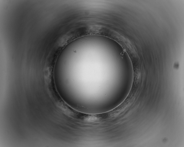 X0000102790759200808181259