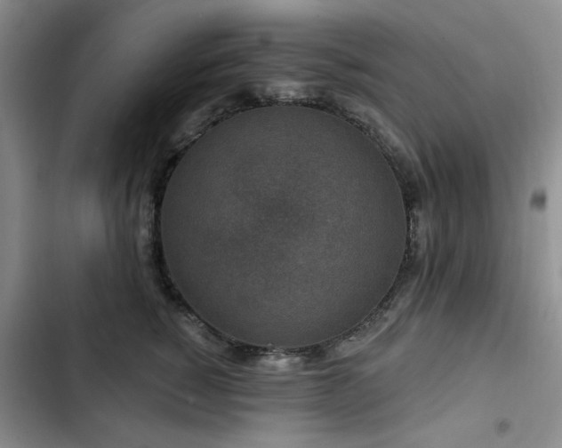 X0000102790760200808181259