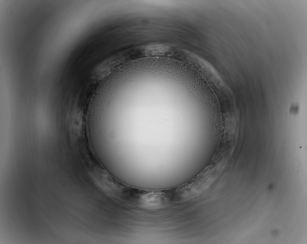 X0000102790761200808181259