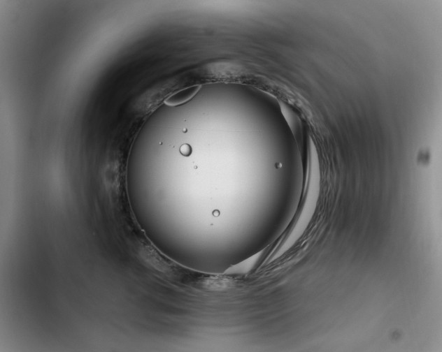 X0000102790762200808181259