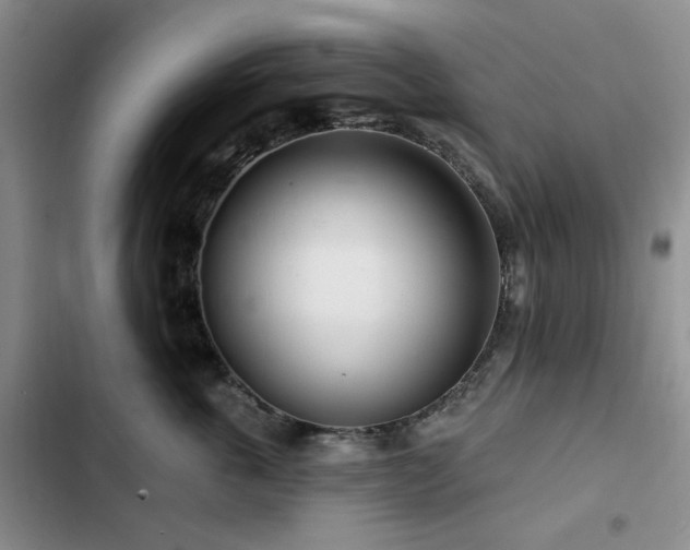 X0000102790763200808181259
