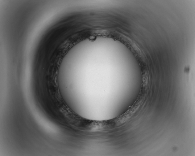 X0000102790764200808181259