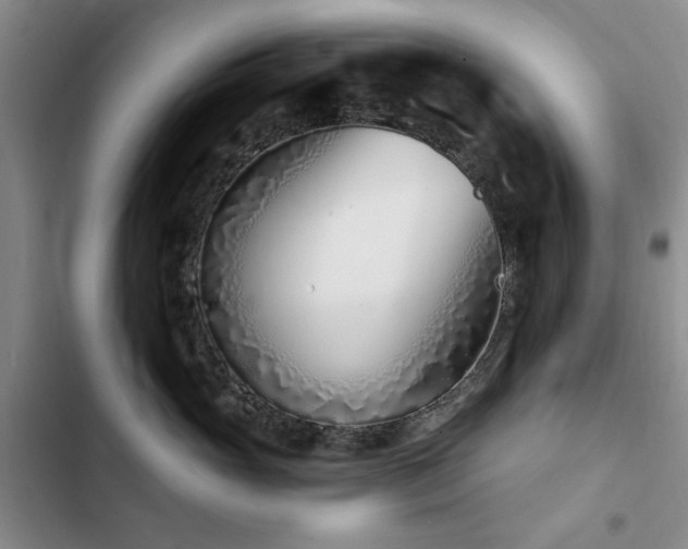X0000102790765200808181259
