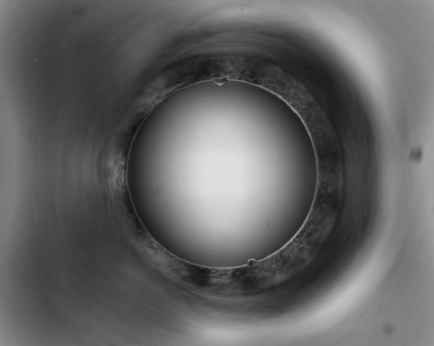 X0000102790766200808181259