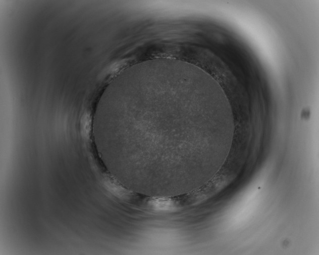 X0000102790767200808181259