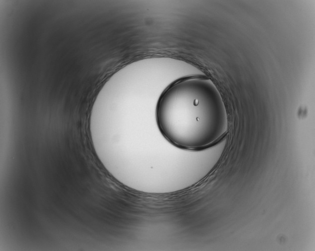 X0000102790768200808181259