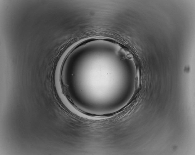X0000102790769200808181259