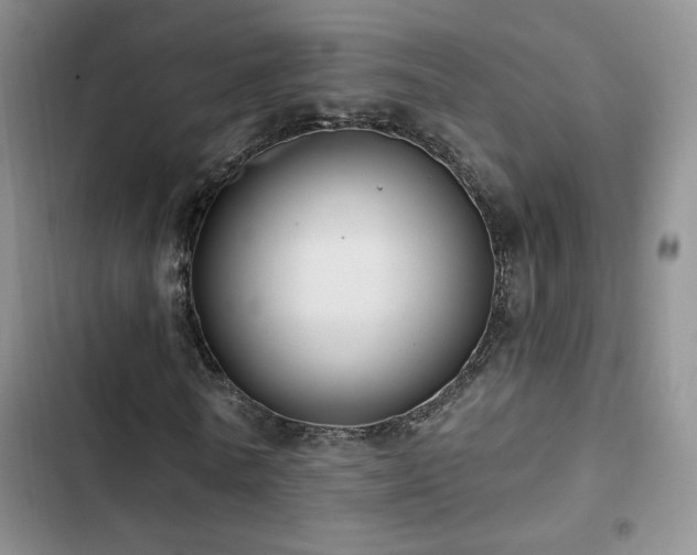 X0000102790770200808181259