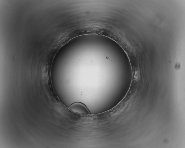 X0000102790771200808181259