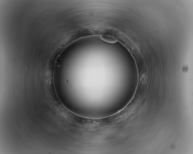 X0000102790772200808181259