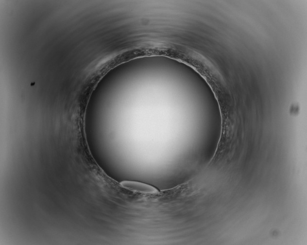 X0000102790773200808181259