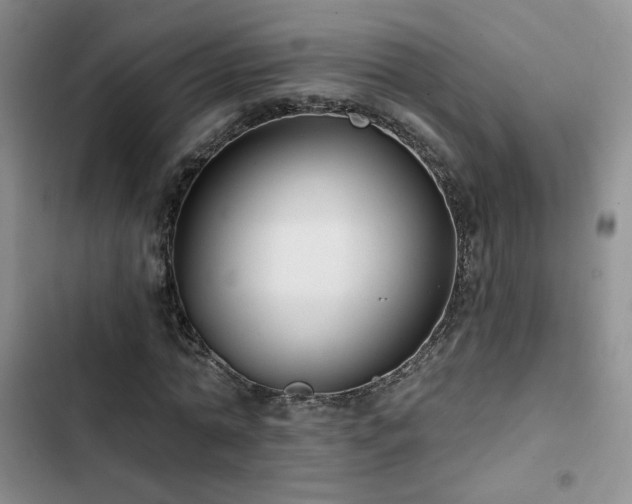 X0000102790774200808181259