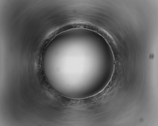 X0000102790775200808181258