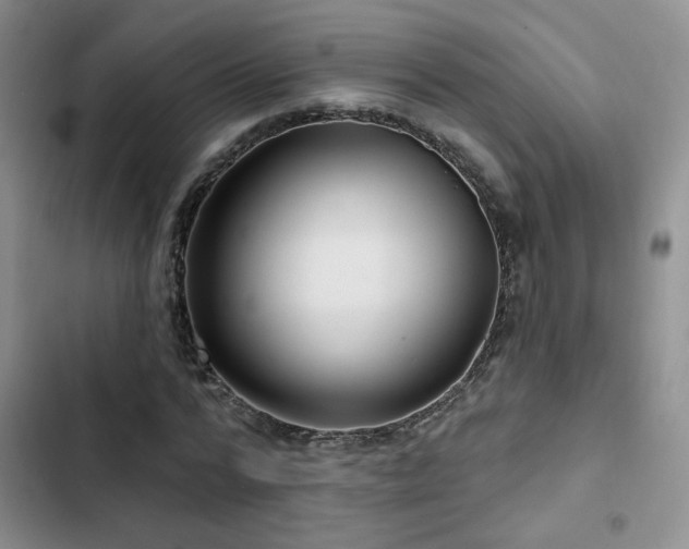 X0000102790776200808181258