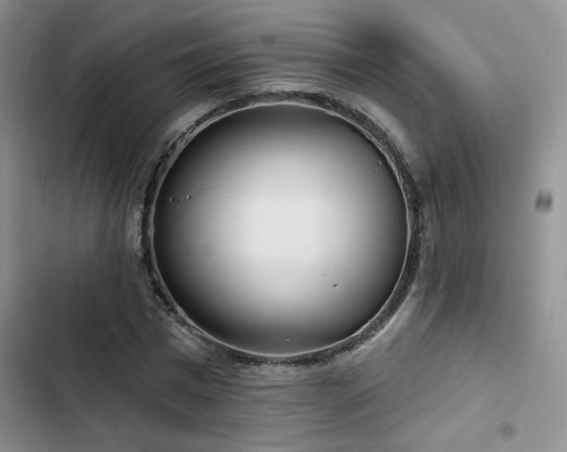X0000102790777200808181258