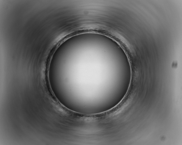 X0000102790778200808181258