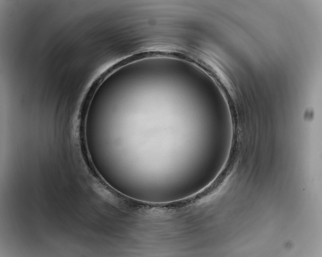 X0000102790779200808181258