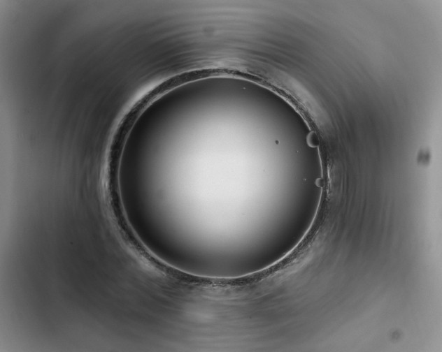 X0000102790780200808181258