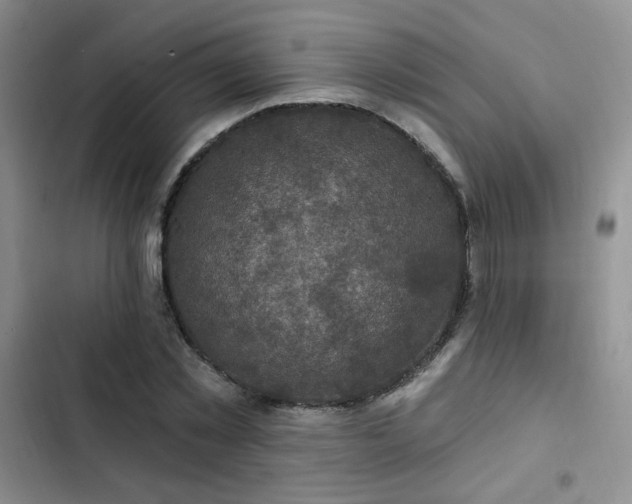 X0000102790781200808181258
