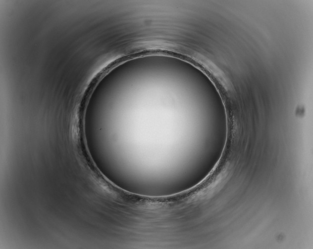 X0000102790782200808181258