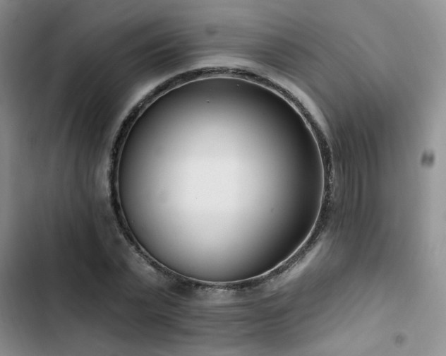 X0000102790783200808181258