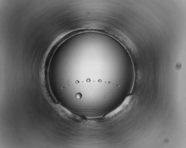 X0000102790784200808181258