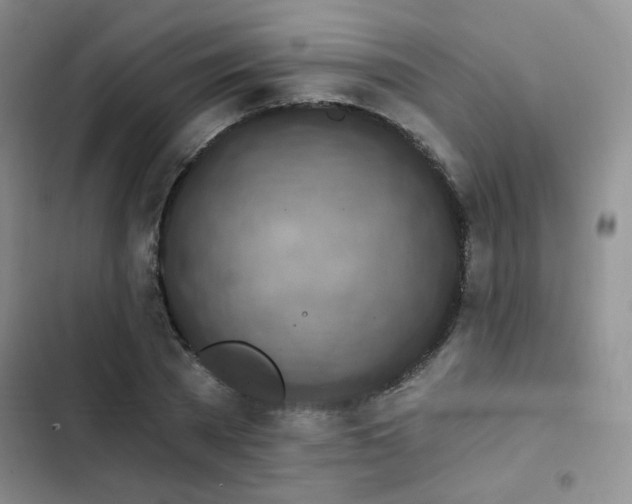X0000102790785200808181258